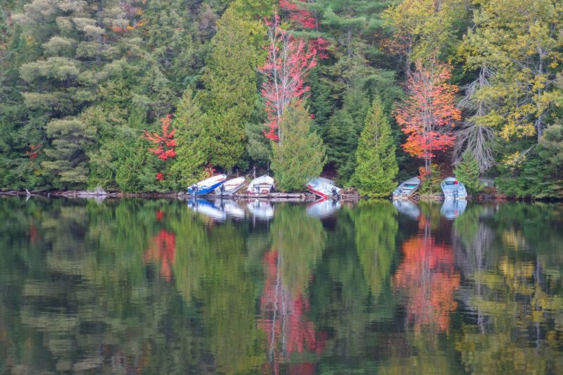 ALQ Fall 2024-303.jpg