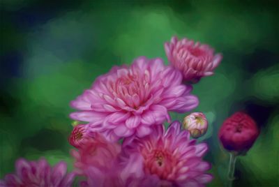 Painted _101.JPG