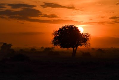 Amboseli-45.jpg