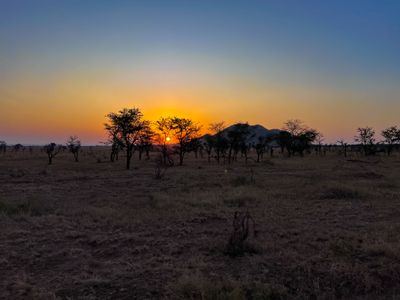Serengeti -135.jpg