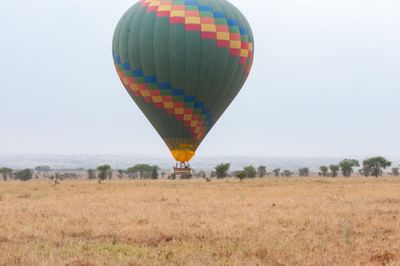 Serengeti -18.jpg