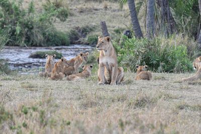Serengeti -75.jpg
