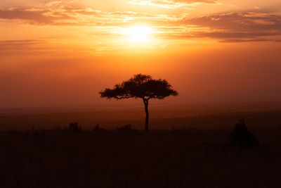 Masai Mara-27.jpg