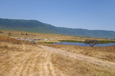 Ngorongoro-50.jpg