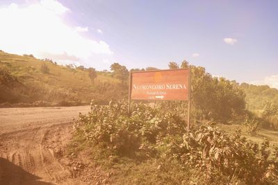 Ngorongoro-58.jpg