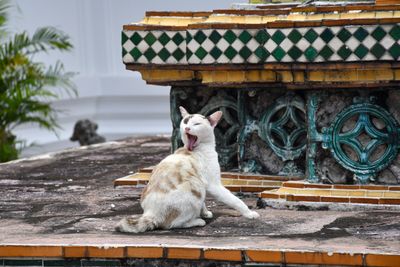 SE Asia Street-29.jpg