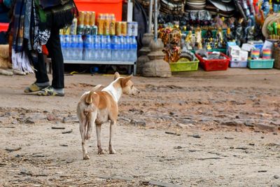 SE Asia Street-82.jpg