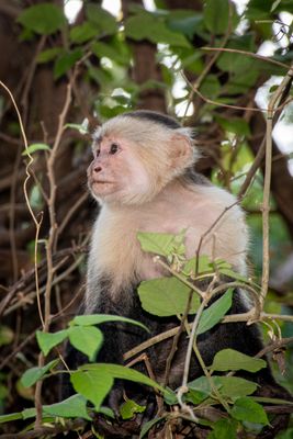 Costa Rica Feb 2025-31.jpg