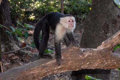 Costa Rica Feb 2025-37.jpg