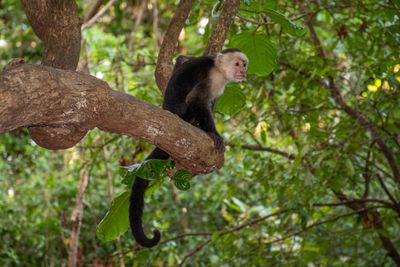 Costa Rica Feb 2025-38.jpg