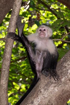 Costa Rica Feb 2025-50.jpg