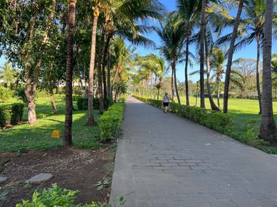 Costa Rica Feb 2025-7.jpg