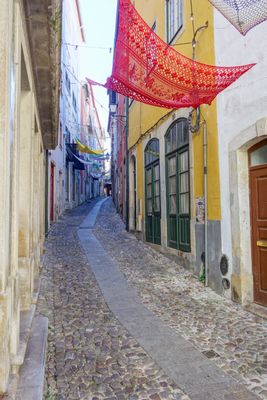 Coimbra Fatima Sept 2024-3.jpg