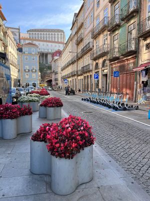 Salamanca Porto Sept 2024-31.jpg