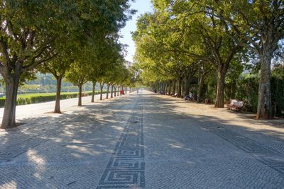 Batalha Lisbon Sept 2024-21.jpg