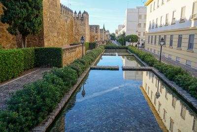 Seville Oct 2024-1.jpg