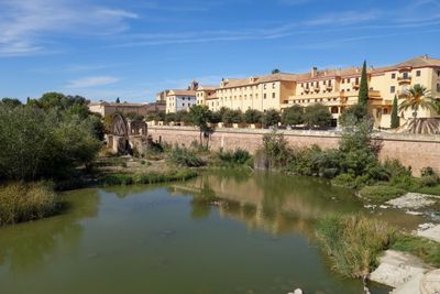 Seville Oct 2024-15.jpg