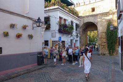 Seville Oct 2024-3.jpg