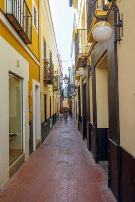 Seville Oct 2024-36.jpg