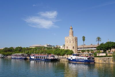 Seville Oct 2024-44.jpg