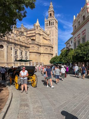 Seville Oct 2024-46.jpg