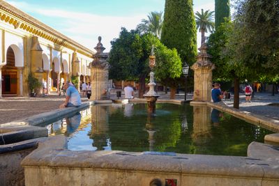 Seville Oct 2024-5.jpg
