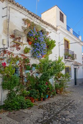 Granada Oct 2024-2.jpg