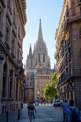 Barcelona Oct 2024-46.jpg