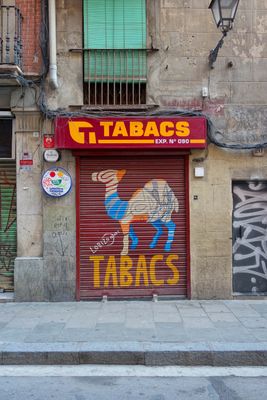 Barcelona Oct 2024-6.jpg