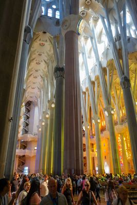 Barcelona Oct 2024-63.jpg