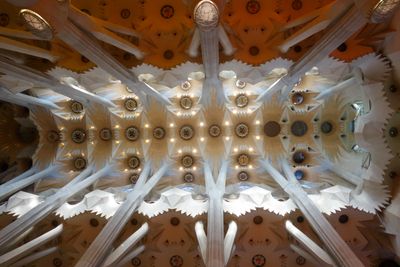 Barcelona Oct 2024-71.jpg