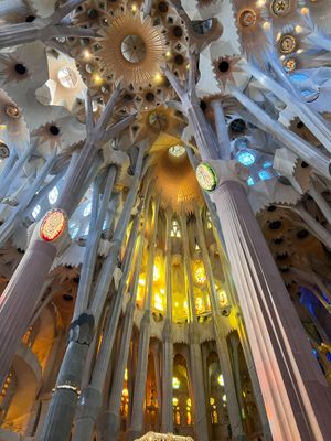 Barcelona Oct 2024-87.jpg