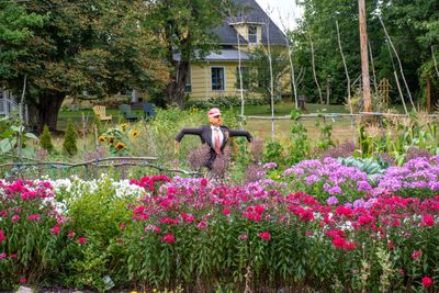 Que NFLD Eastern-110.jpg