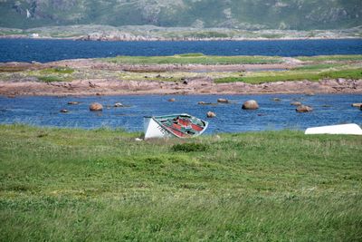 Que NFLD Eastern-26.jpg