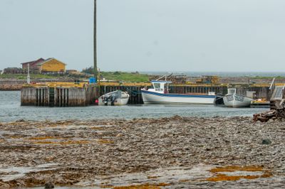 Que NFLD Eastern-39.jpg