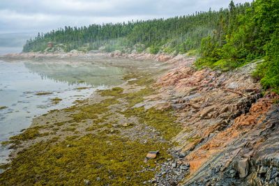 Que NFLD Eastern-4.jpg