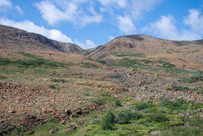 Que NFLD Eastern-47.jpg