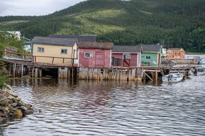 Que NFLD Eastern-57.jpg