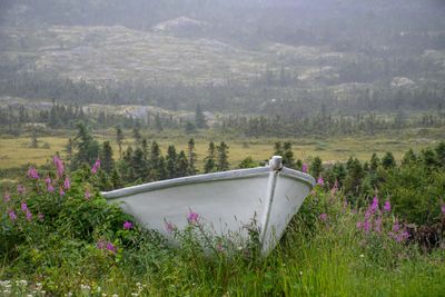 Que NFLD Eastern-64.jpg