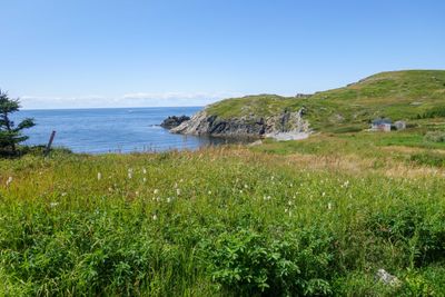 Que NFLD Eastern-76.jpg