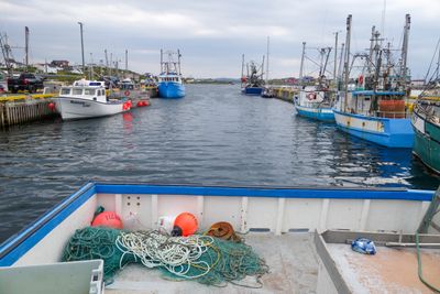 Que NFLD Eastern-82.jpg