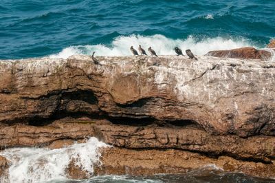 Que NFLD Eastern-93.jpg