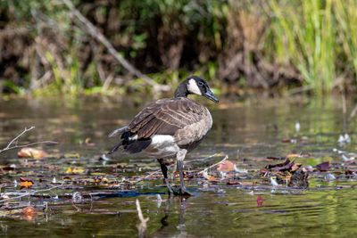 ALQ Fall 2025-101.jpg