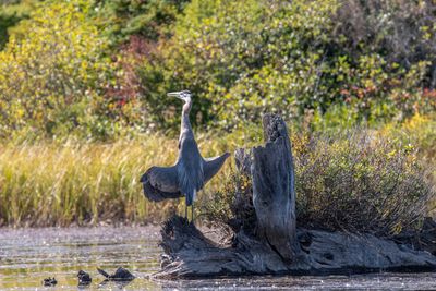 ALQ Fall 2025-102.jpg