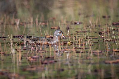 ALQ Fall 2025-105.jpg