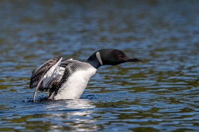 ALQ Fall 2025-107.jpg