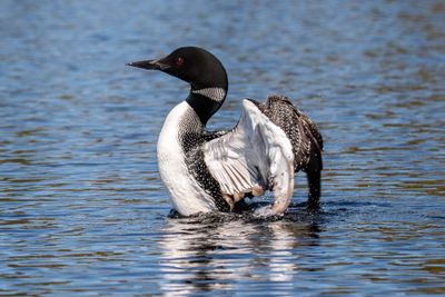 ALQ Fall 2025-108.jpg