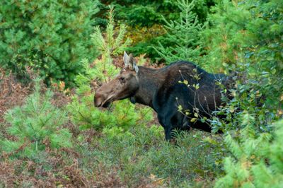 ALQ Fall 2025-115.jpg