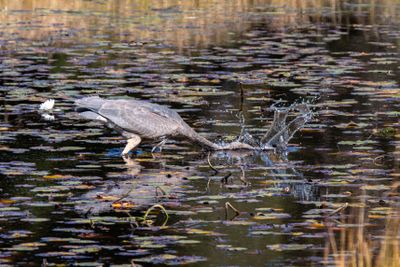 ALQ Fall 2025-119.jpg