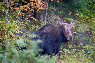 ALQ Fall 2025-134.jpg